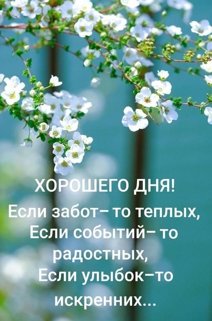 ХОРОШЕГО ДНЯ! Если забот– то теплых, Если событий– то радостных, Если улыбок– то искренних...