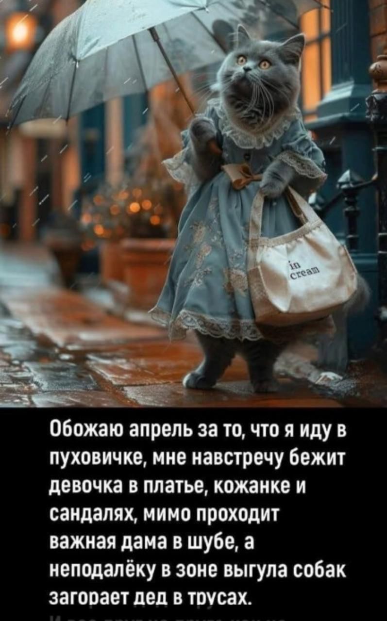 Обожаю апрель за то, что я иду в пуховичке, мне навстречу бежит девочка в платье, кожанке и сандалях, мимо проходит важная дама в шубе, а неподалёку в зоне выглянула собака, дед загорел в трусах.
