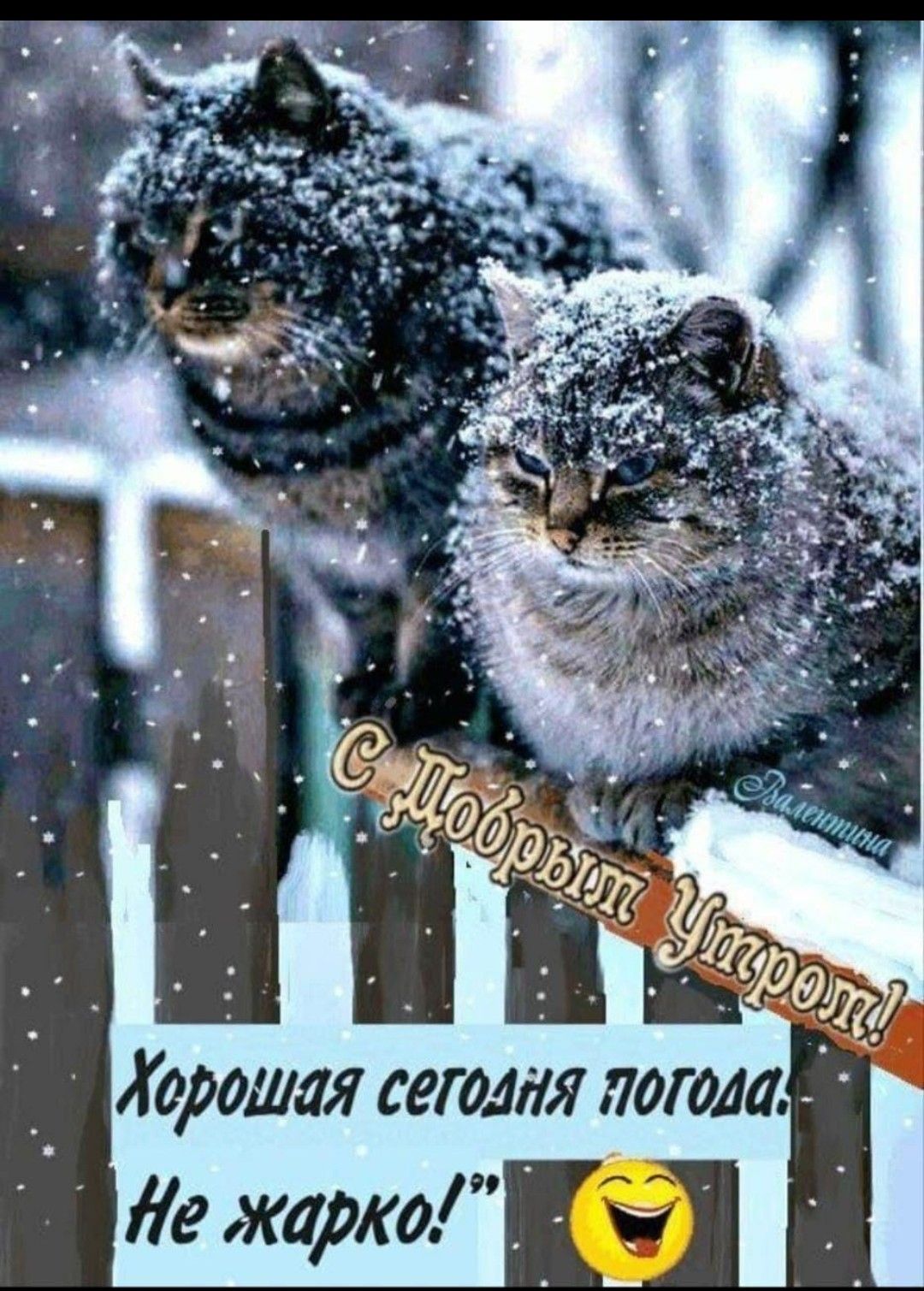 С Добрым Утром! Хорошая сегодня погода. Не жарко!