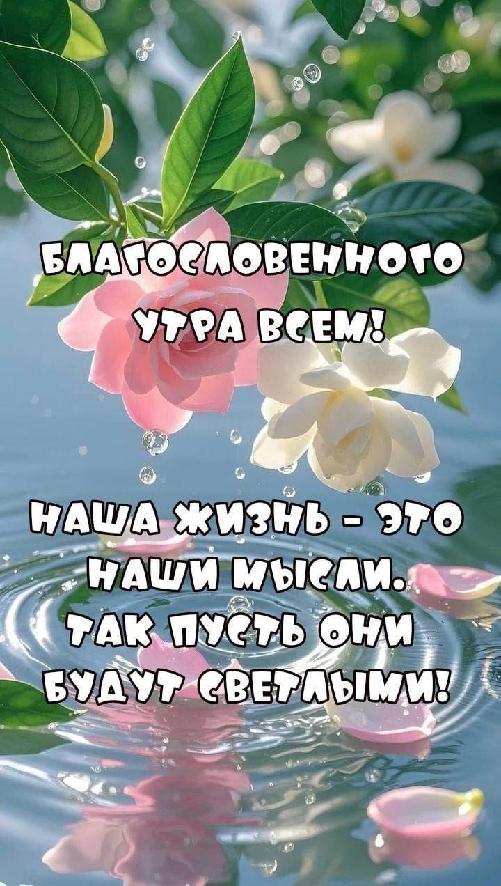 Благословенного утра всем! Наша жизнь - это наши мысли. Так пусть они будут светлыми!