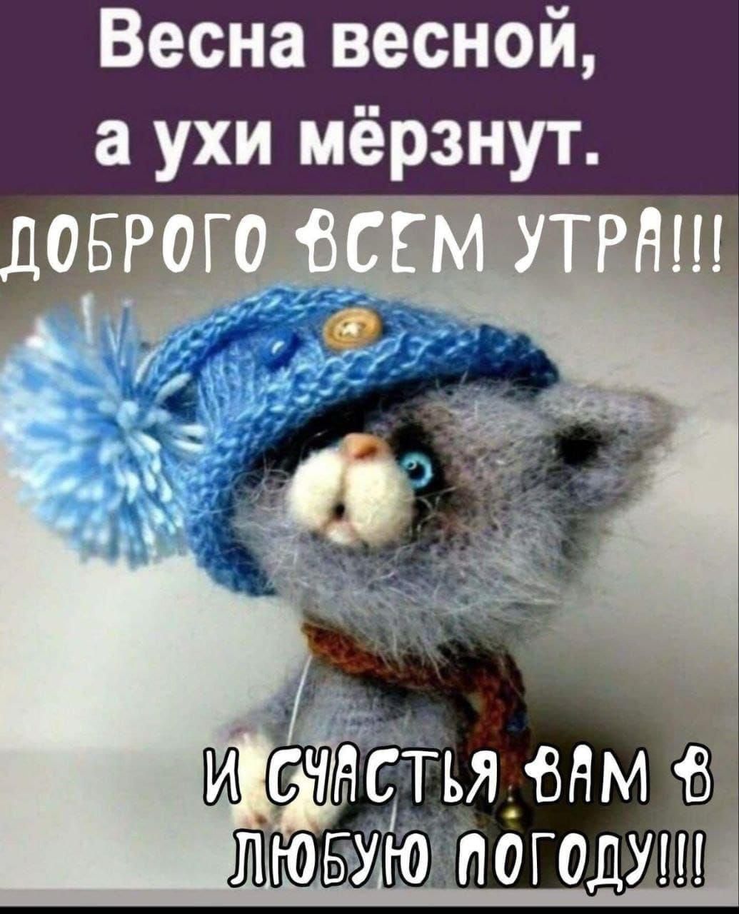 Весна весной, а ухи мёрзнут.
Доброго ВСЕМ УТРА!!!
И счастья вам в любую погоду!!!