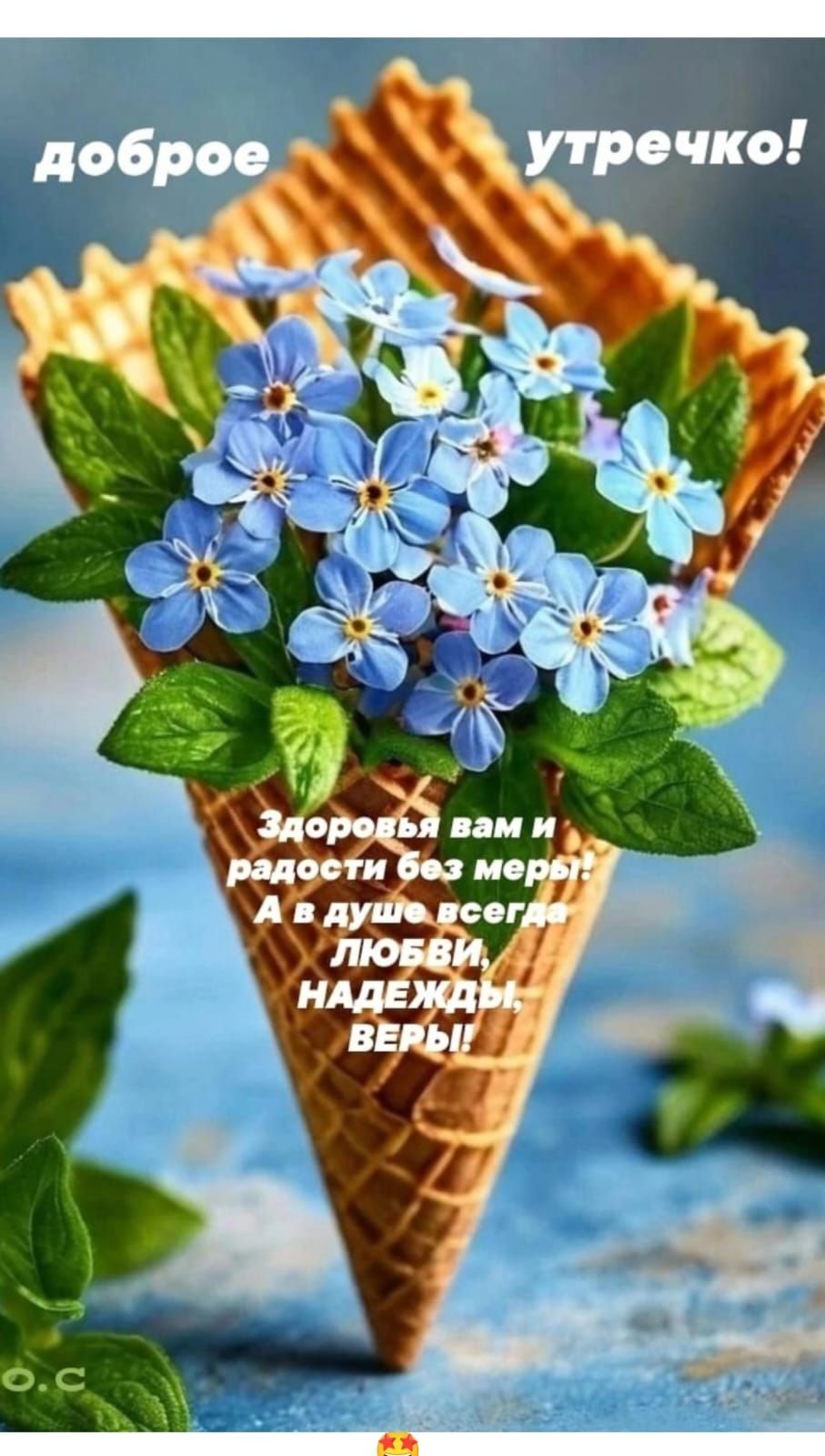 доброе утречко!
Здоровья вам и радости без меры!
А в душе всегда
ЛЮБОВИ, НАДЕЖДЫ, ВЕРЫ!