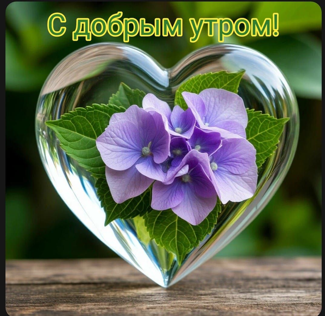 С добрым утром!
