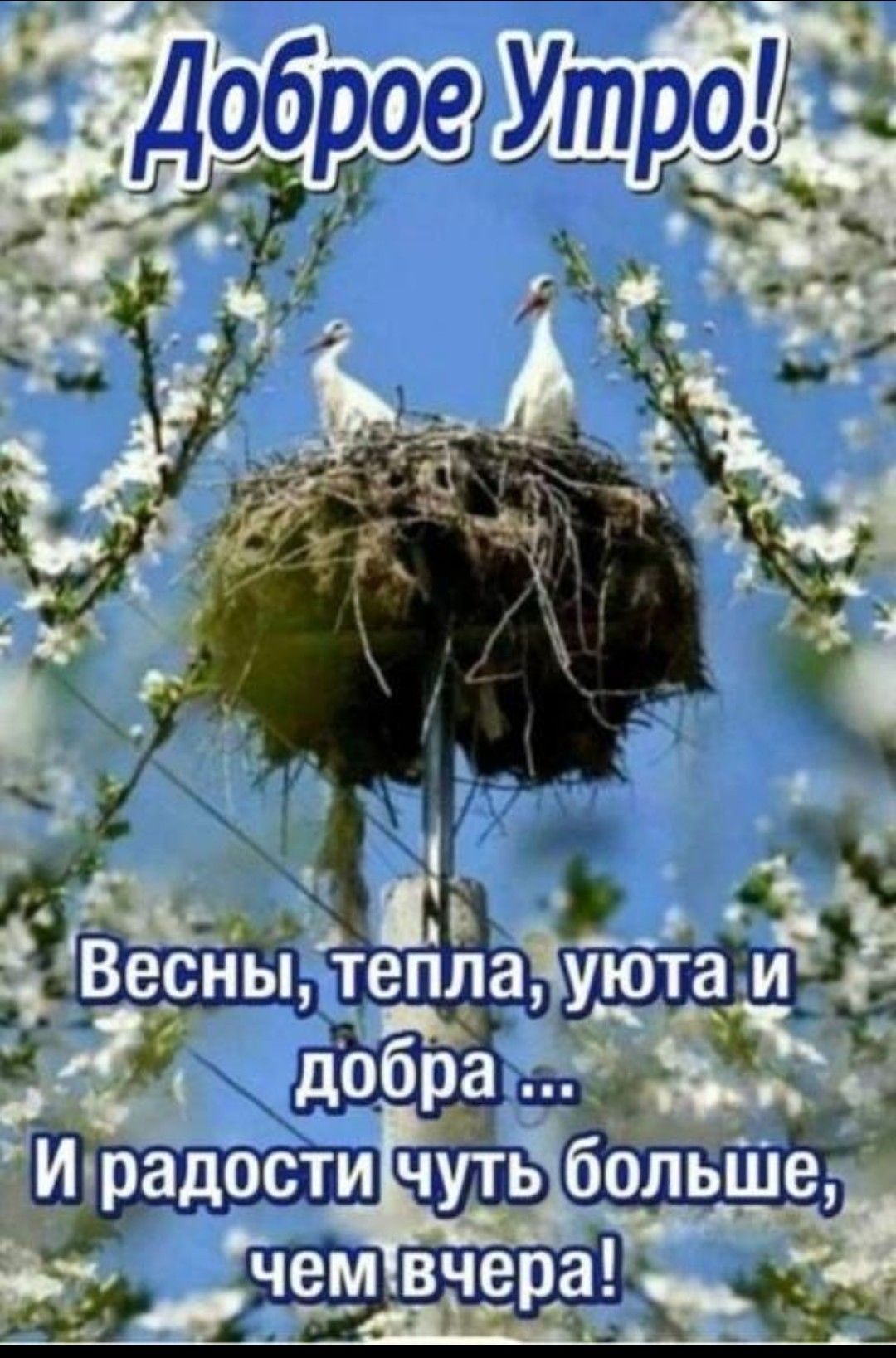 Доброе Утро! Весны, тепла, уюта и добра ... И радости чуть больше, чем вчера!