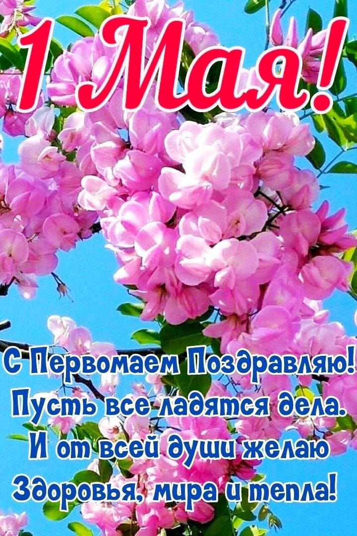 1 Мая! С Первомаем Поздравляю! Пусть все ладятся дела. И от всей души желаю Здоровья, мира и тепла!