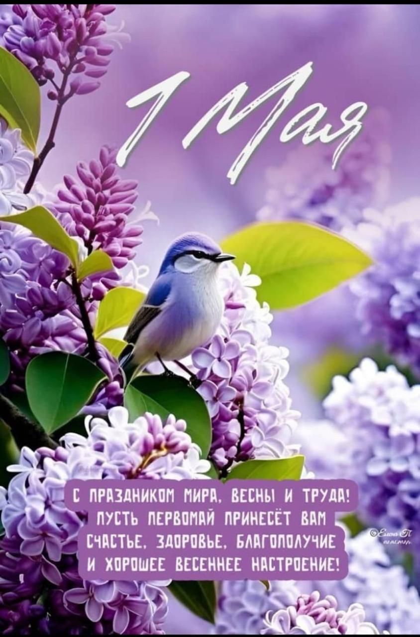 1 Мая
С праздником мира, весны и труда! Пусть Первомай принесёт вам счастье, здоровье, благополучие и хорошее весеннее настроение!