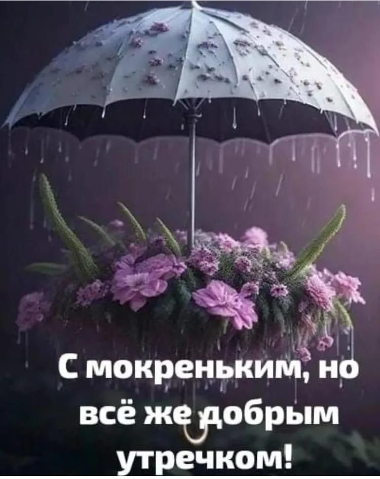 С мокреньким, но всё же добрым утречком!
