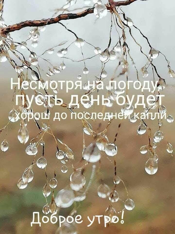 Несмотря на погоду, пусть день будет хорош до последней капли. Доброе утро!