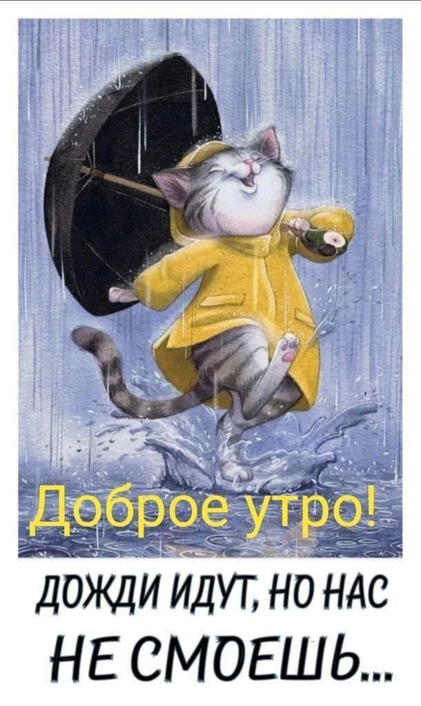 Доброе утро! дождички идут, но нас НЕ СМОЕШЬ...