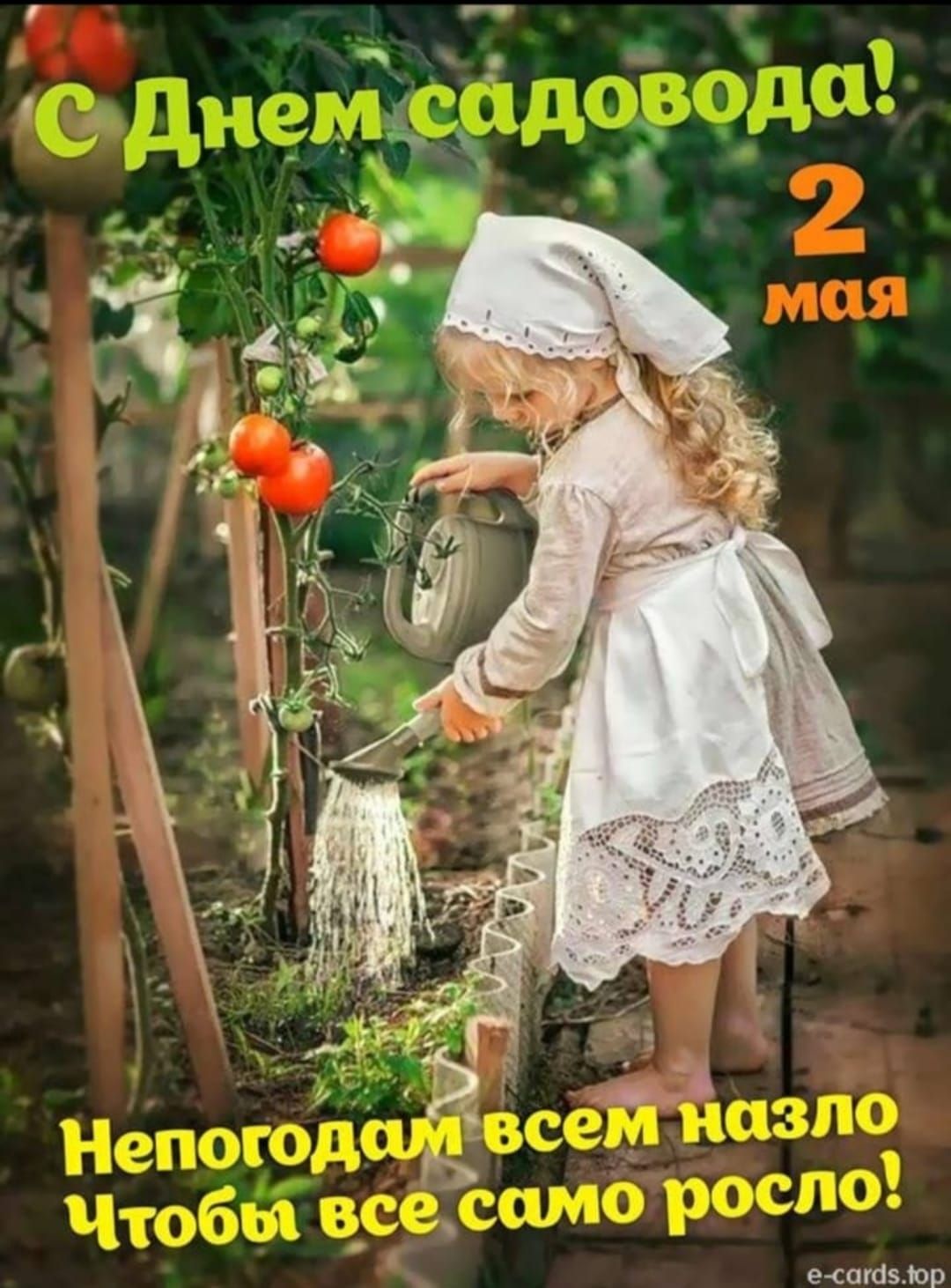 С Днем садовода! 2 мая
Непогодам всем назло
Чтобы все само росло!