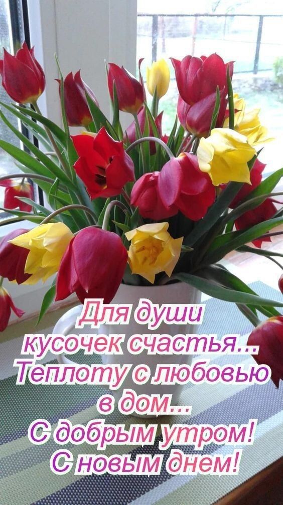 Для души кусочек счастья... Теплоту с любовью в дом... С добрым утром! С новым днем!