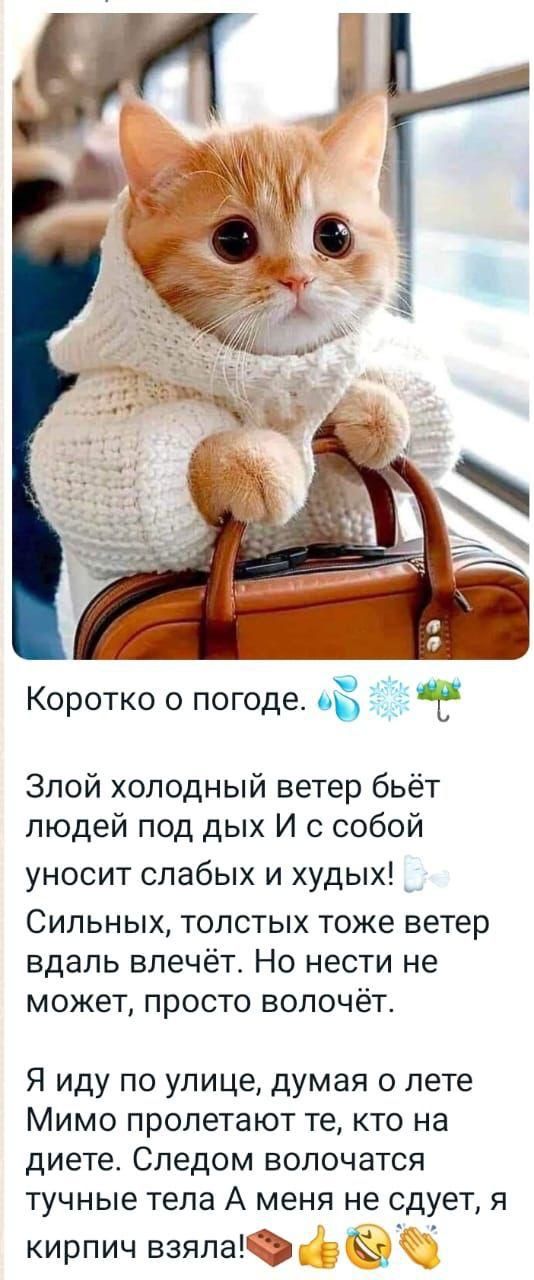 Корочко о погоде. 💧❄️🌧️

Злой холодный ветер бьёт людей под дых И с собой уносит слабых и худых! ⛄️
Сильных, толстых тоже ветер вдаль влечёт. Но нести не может, просто волочёт.

Я иду по улице, думая о лете
Мимо пролетят те, кто на диете. Следом волочатся тучные тела А меня не сведёт, а кирпич взяла! 🍫😂