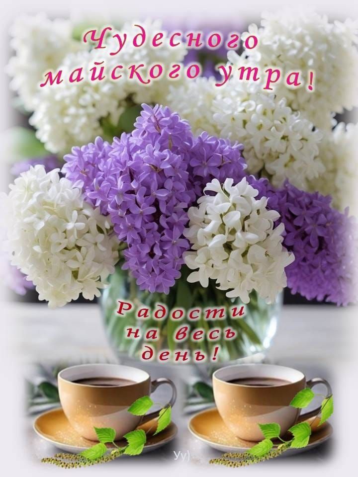 Чудесного майского утра! Радости на весь день!