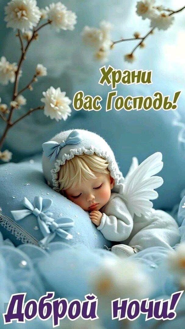 Храни вас Господь! Доброй ночи!