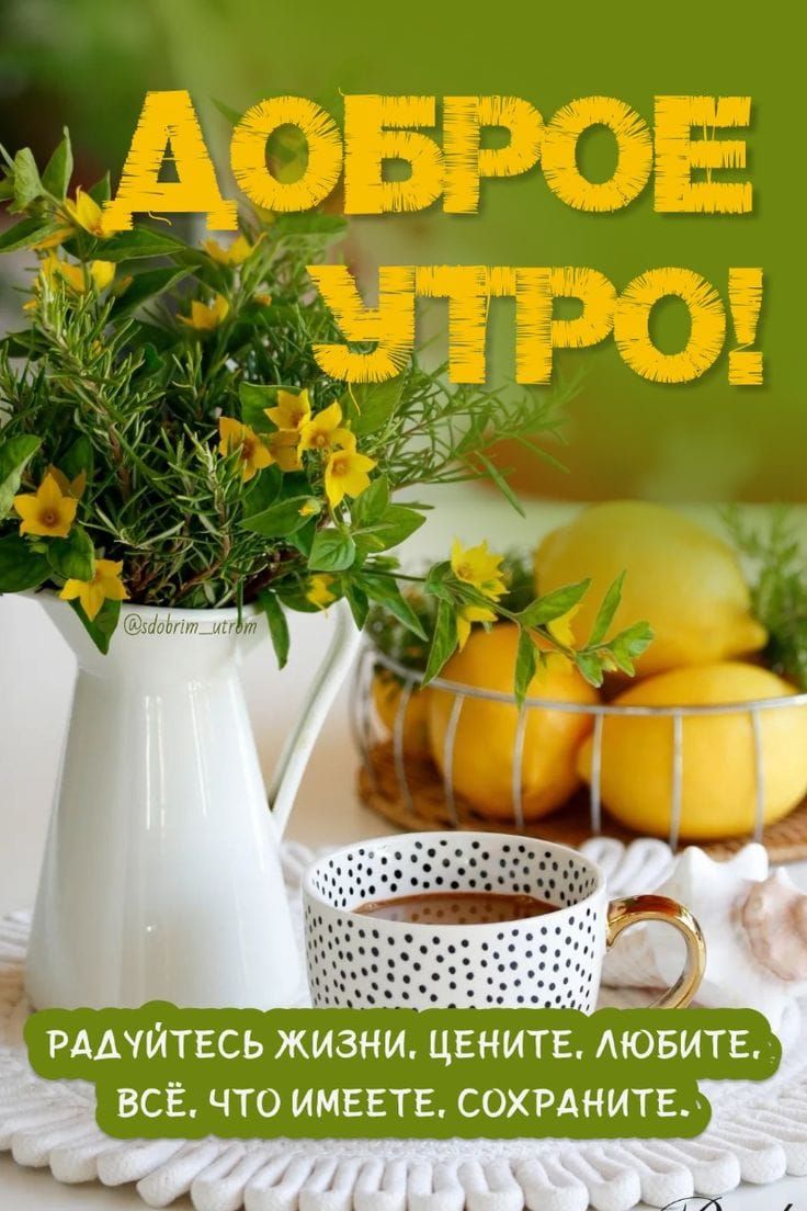 ДОБРОЕ УТРО!
РАДУЙТЕСЬ ЖИЗНИ, ЦЕНИТЕ, ЛЮБИТЕ, ВСЁ, ЧТО ИМЕЕТЕ, СОХРАНИТЕ.