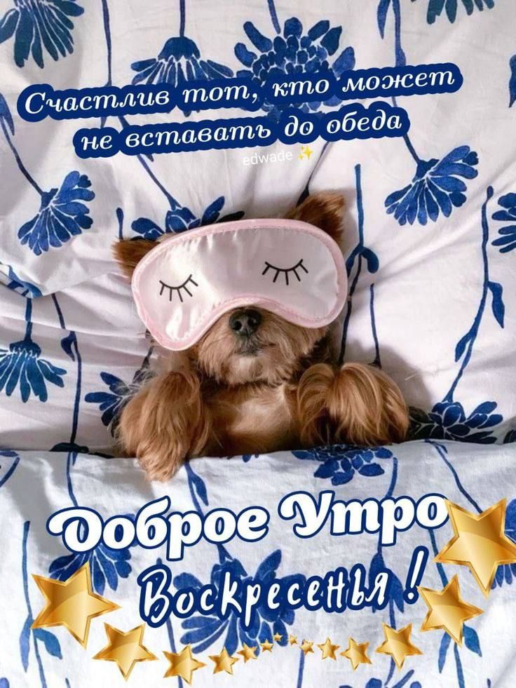 Счастлив тот, кто может не вставать до обеда
Доброе Утро Воскресенья!