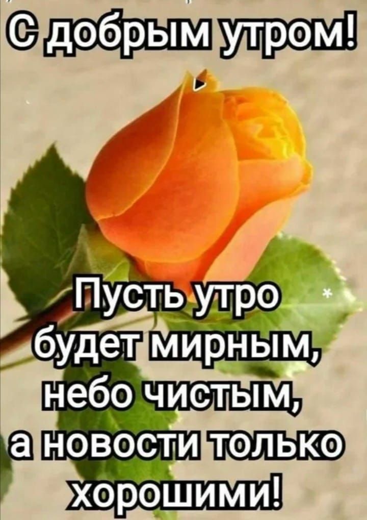 С добрым утром! Пусть утро будет мирным, небо чистым, а новости только хорошими!