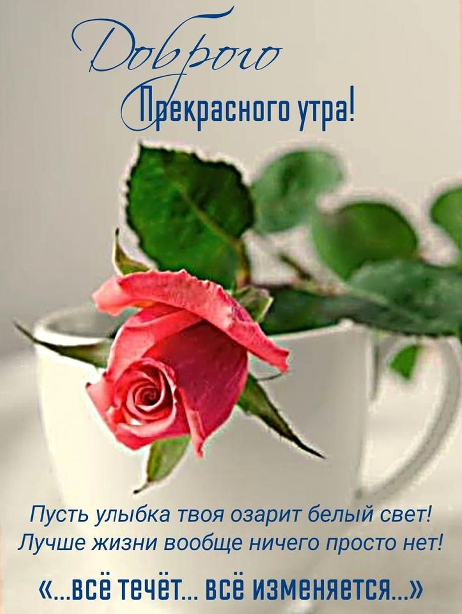 Доброго Прекрасного утра! Пусть улыбка твоя озарит белый свет! Лучше жизни вообще ничего просто нет! «...всё течёт... всё изменяется...»
