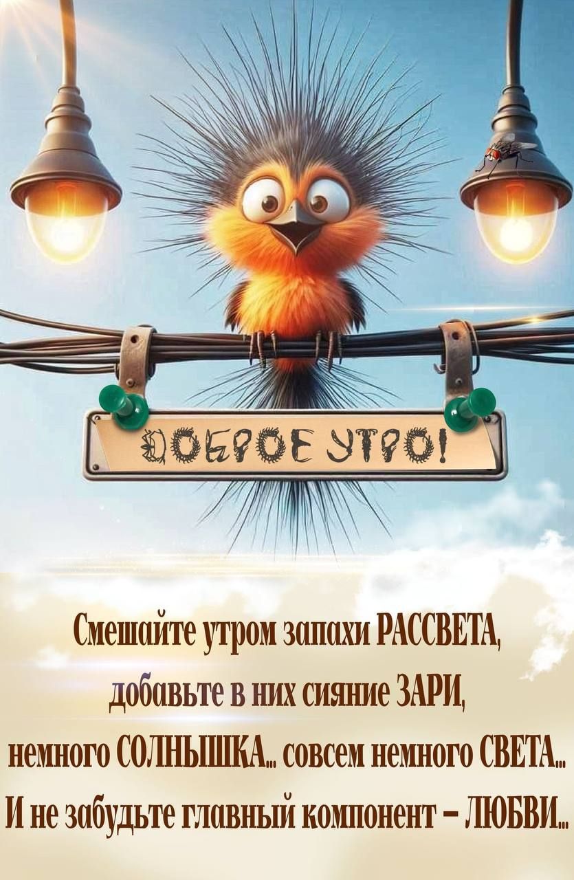 Смешайте утром запаши РАССВЕТА, добавьте в них сияние ЗАРИ, немного СОЛНЫШКА... совсем немного СВЕТА... И не забудьте главный компонент – ЛЮБВИ...