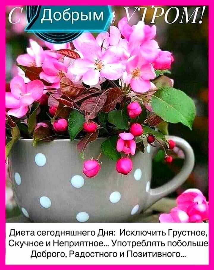 Добрым УТРОМ! Диета сегодняшнего Дня: Исключить Грустное, Скучное и Неприятное... Употреблять побольше ДобROГО, Радостного и Позитивного...