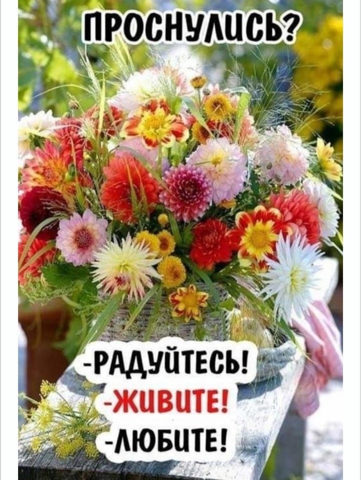 ПРОСНУЛИСЬ? - РАДУЙТЕСЬ! - ЖИВИТЕ! - ЛЮБИТЕ!