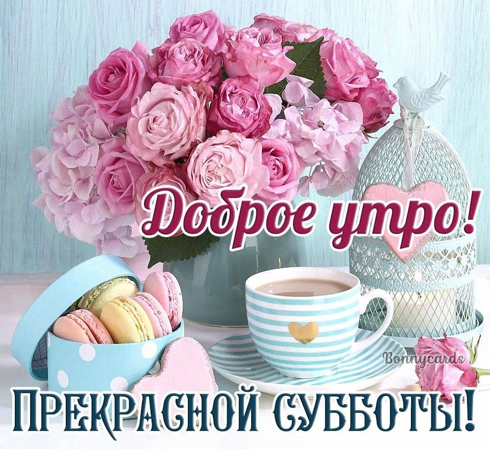 Доброе утро! Прекрасной субботы!