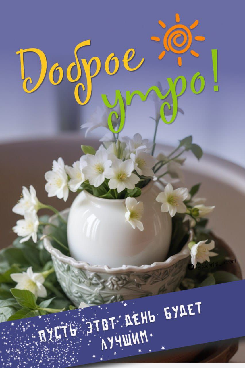 Доброе утро! Пусть этот день будет лучшим.