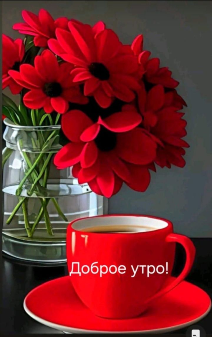 Доброе утро!