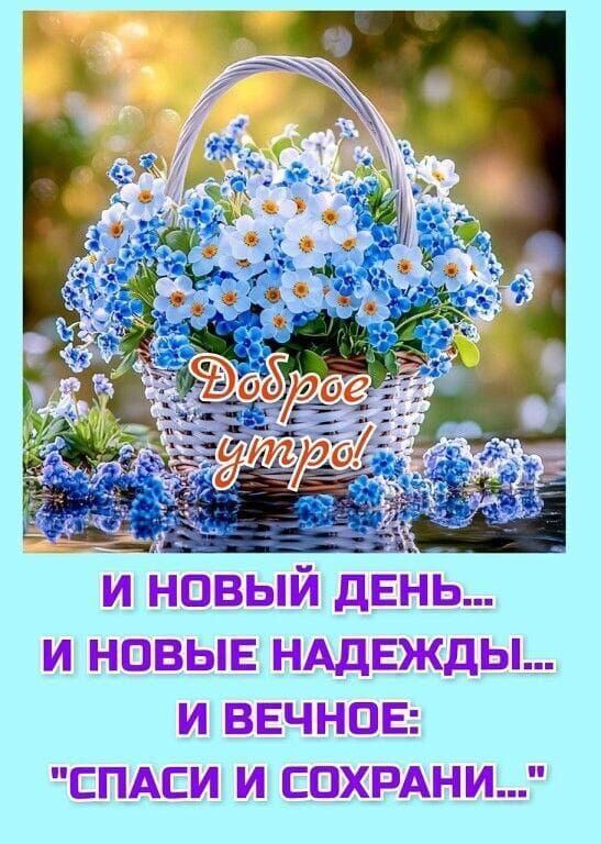 Доброе утро! И новый день... И новые надежды... И вечное: 