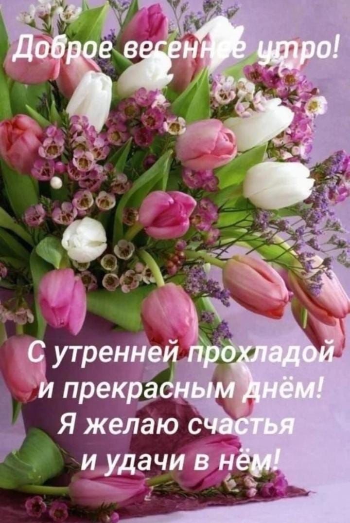 Доброе весеннее утро! С утренней прохладой и прекрасным днем! Я желаю счастья и удачи в нем!