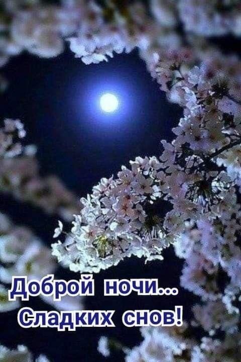 Доброй ночи... Сладких снов!