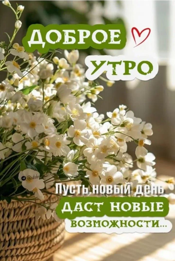 ДОБРОЕ УТРО
Пусть новый день даст новые возможности...