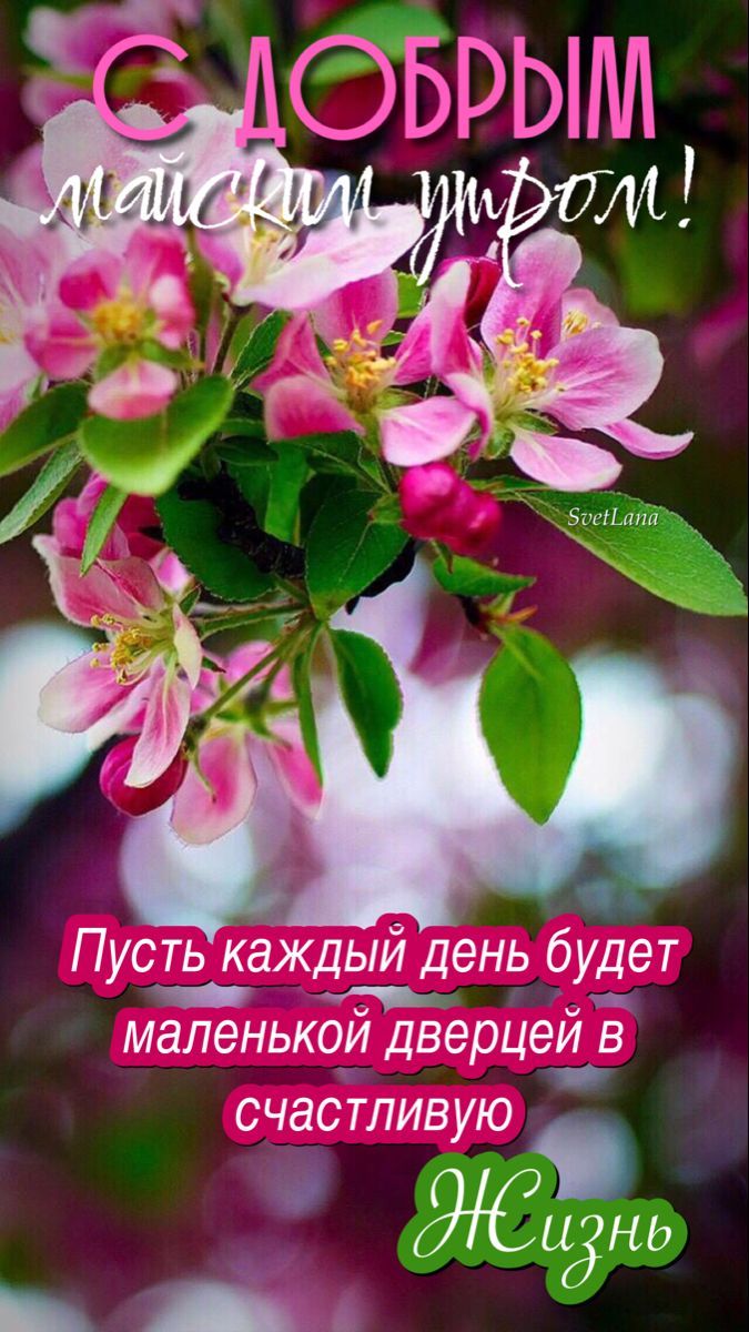 С ДОБРЫМ майским утром! Пусть каждый день будет маленькой дверцей в счастливую ЖИЗНЬ