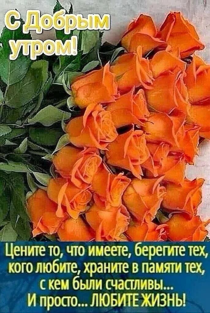 С Добрым утром! Цените то, что имеете, берегите тех, кого любите, храните в памяти тех, с кем были счастливы... И просто... ЛЮБИТЕ ЖИЗНЬ!