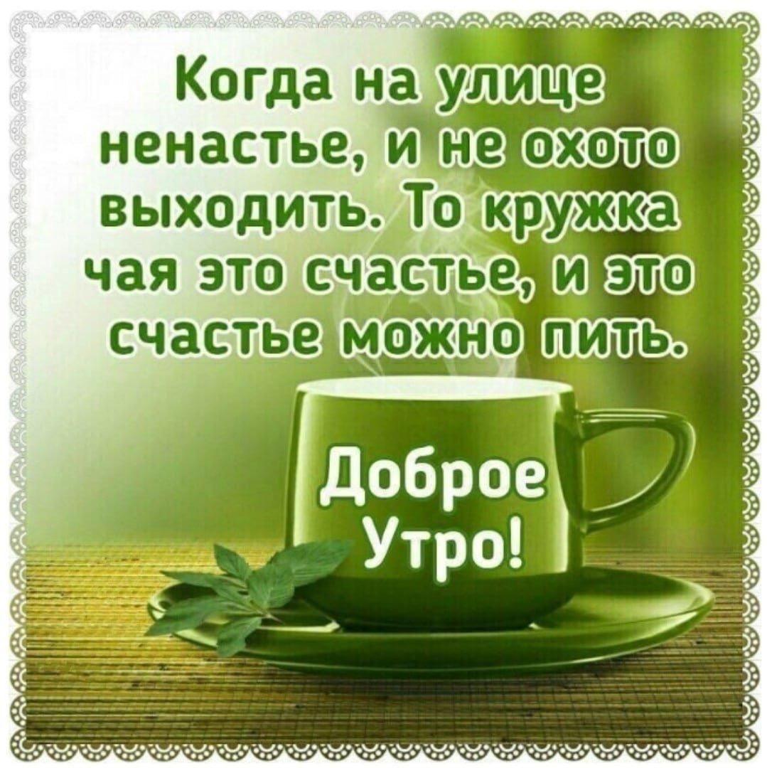 Когда на улице ненастье, и не охото выходить. То кружка чая это счастье, и это счастье можно пить.
Доброе Утро!