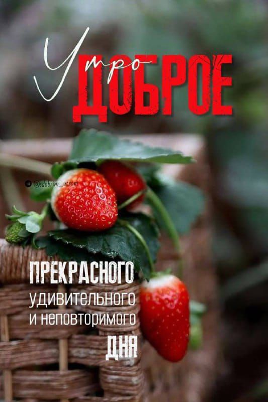 Утро ДОБРОЕ
ПРЕКРАСНОГО
УДИВИТЕЛЬНОГО
И НЕПОВТОРИМОГО
ДНЯ