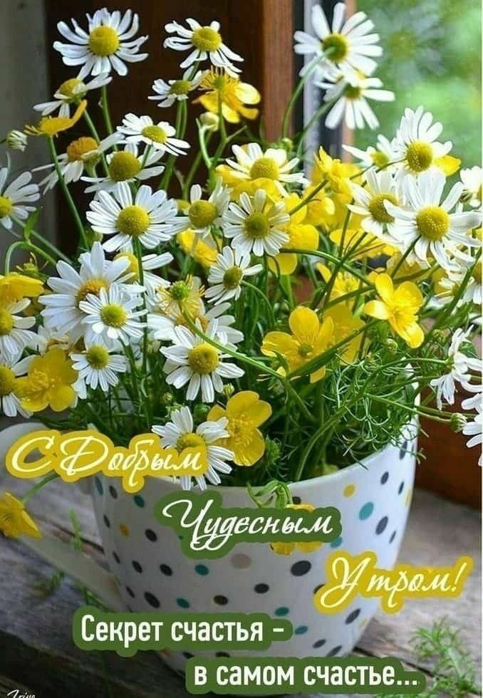 С Добрым Чудесным Утром! Секрет счастья – в самом счастье...