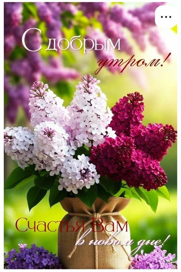 С добрым утром! Счастья Вам в новом дне!