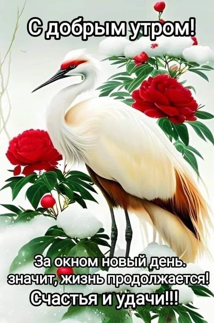С добрым утром! За окном новый день, значит, жизнь продолжается! Счастья и удачи!!!