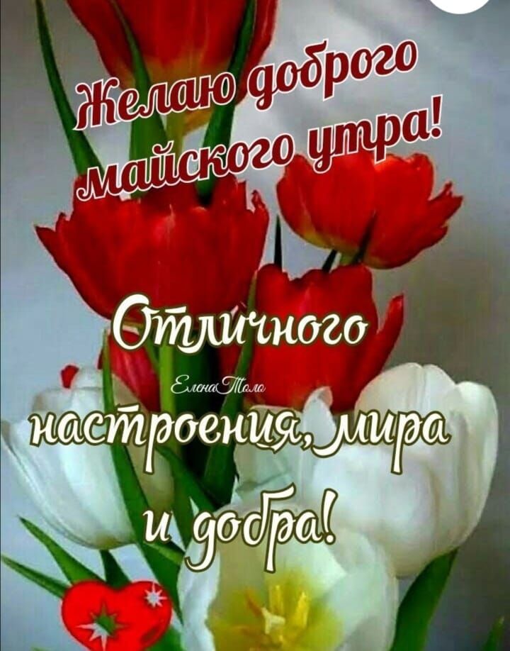 Желаю доброго майского утра! Отличного настроения, мира и добра!