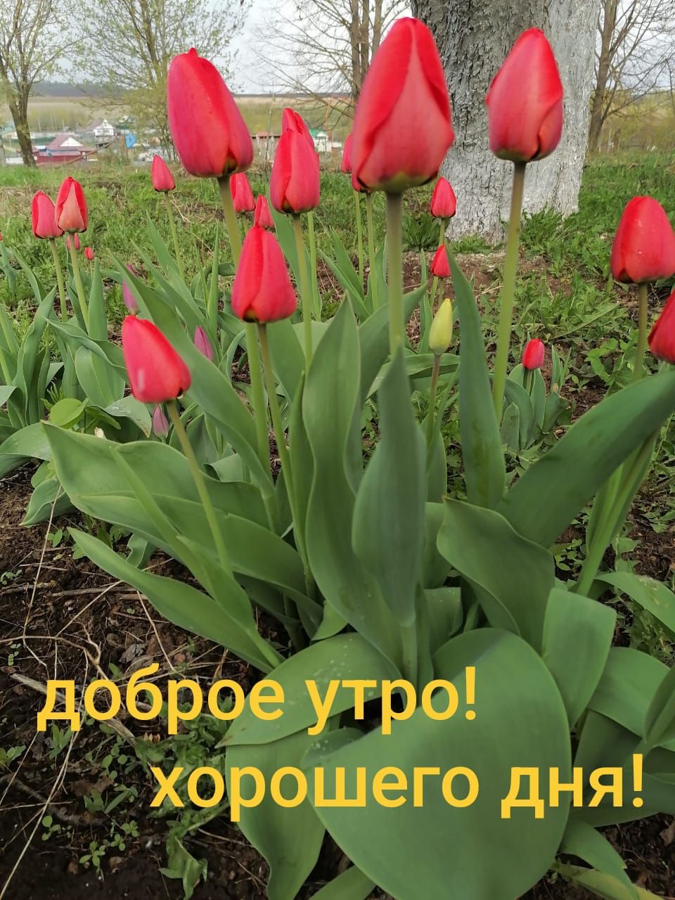 доброе утро! хорошего дня!