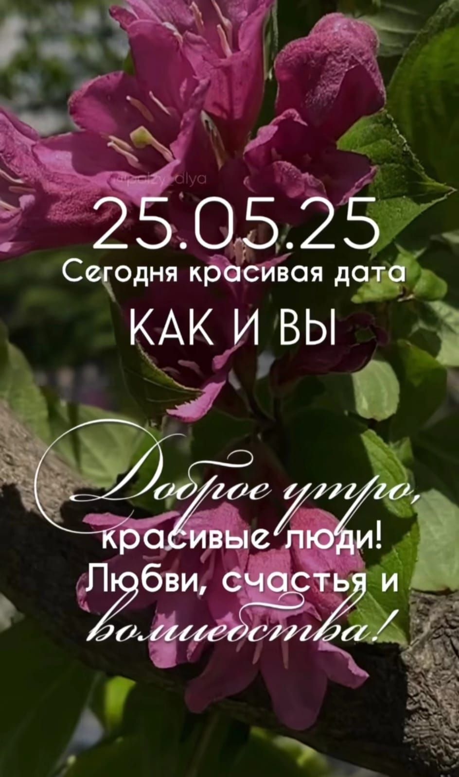 25.05.25 Сегодня красивая дата КАК И ВЫ Доброе утро, красивые люди! Любви, счастья и волшебства!