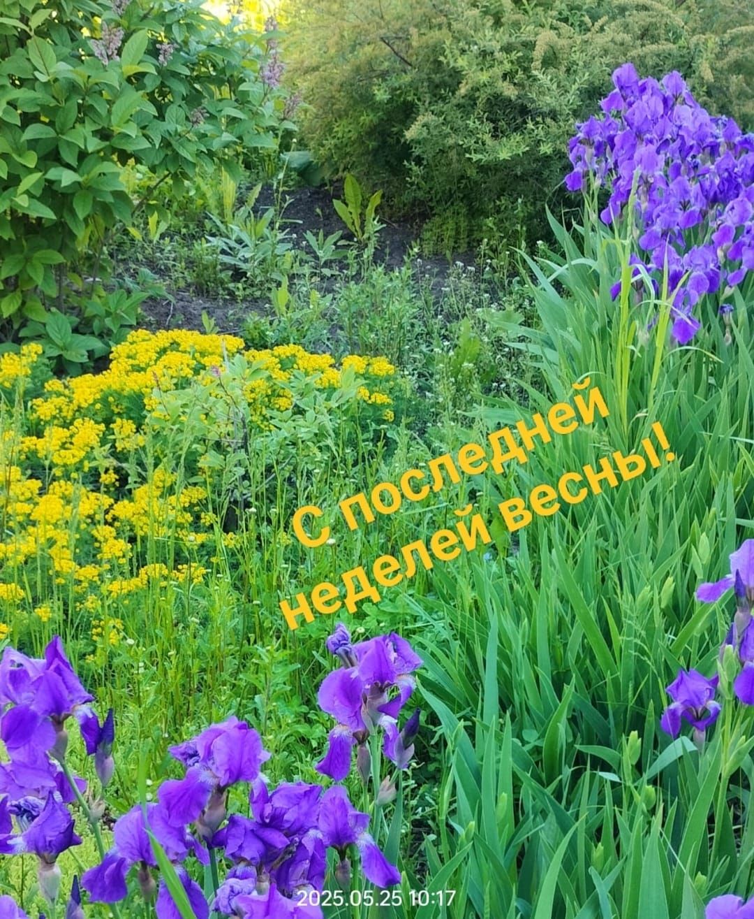 С последней неделей весны!