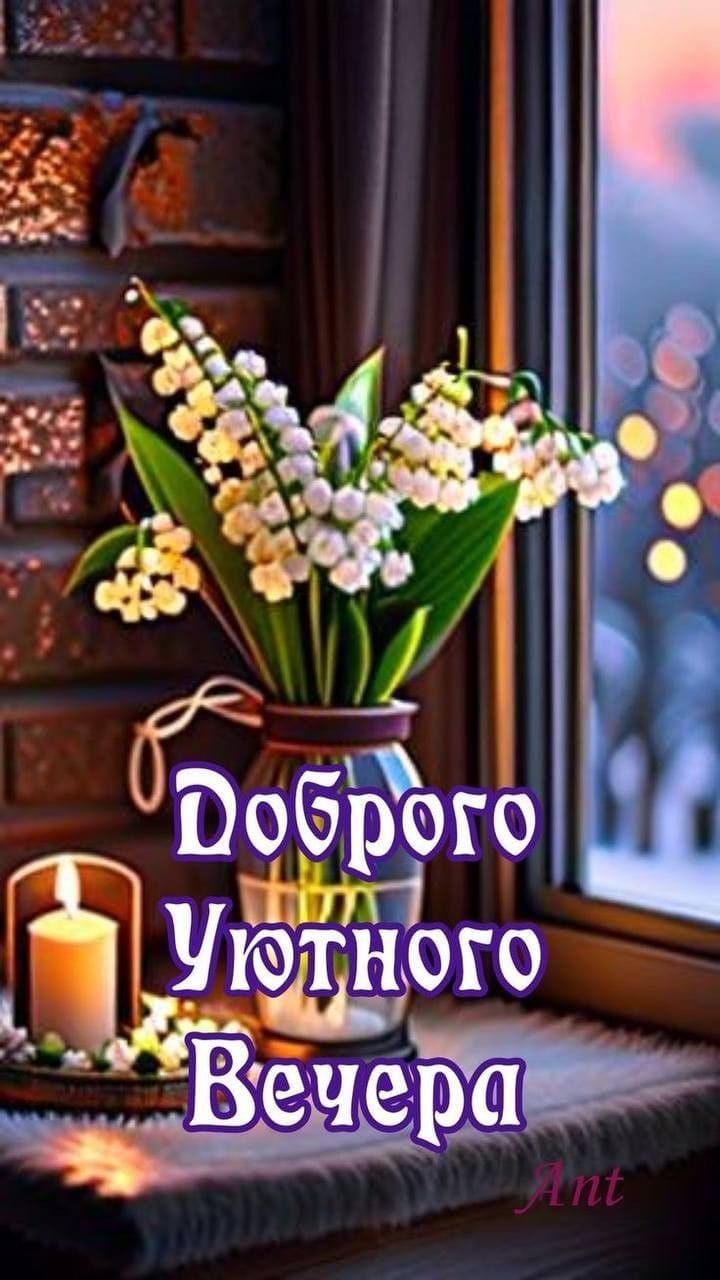 Доброго Уютного Вечера