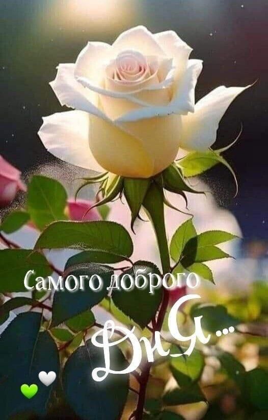 Самого доброго ДнЯ...