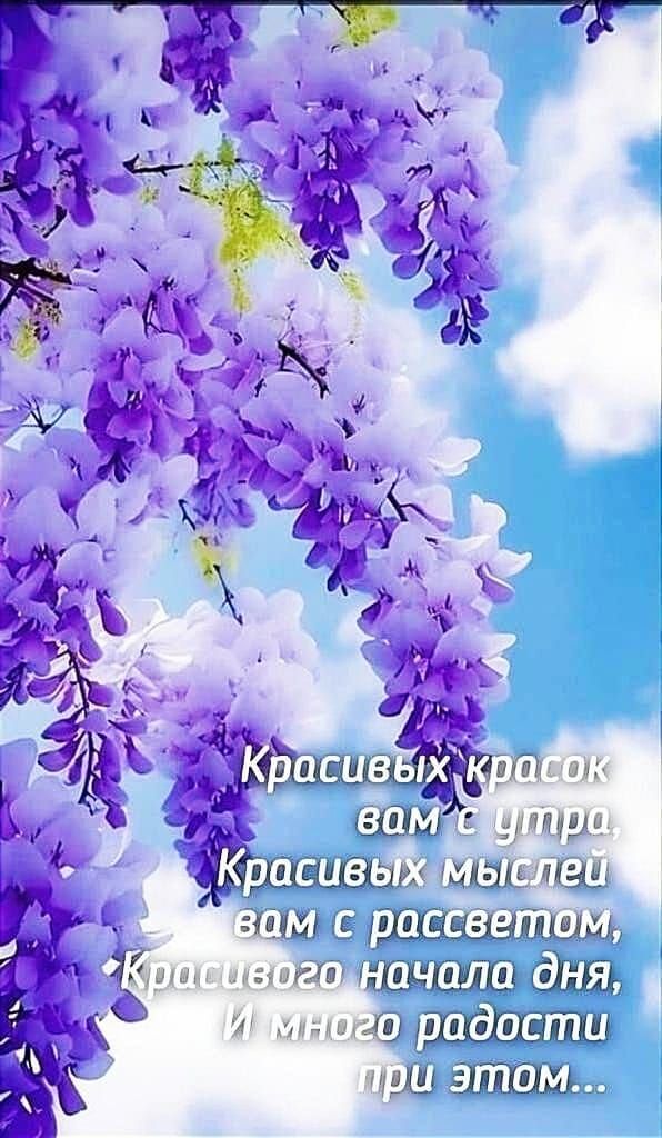 Красивых красок вам с утра, Красивых мыслей вам с рассветом, Красивого начала дня, И много радости при этом...