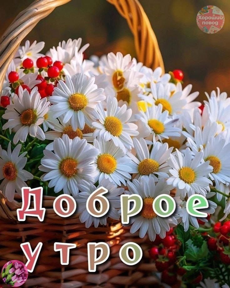Доброе утро