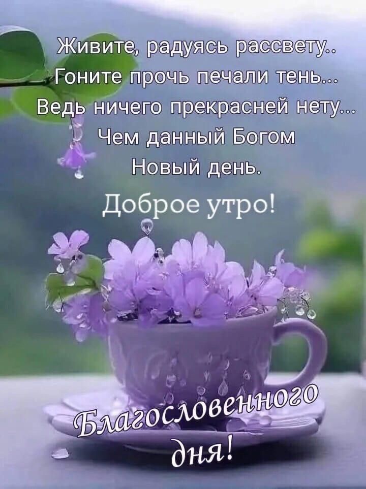 Живите, радуясь рассвету..
Гоните прочь печали тень...
Ведь ничего прекрасней нету...
Чем данный Богом
Новый день.

Доброе утро!

Благословенного дня!