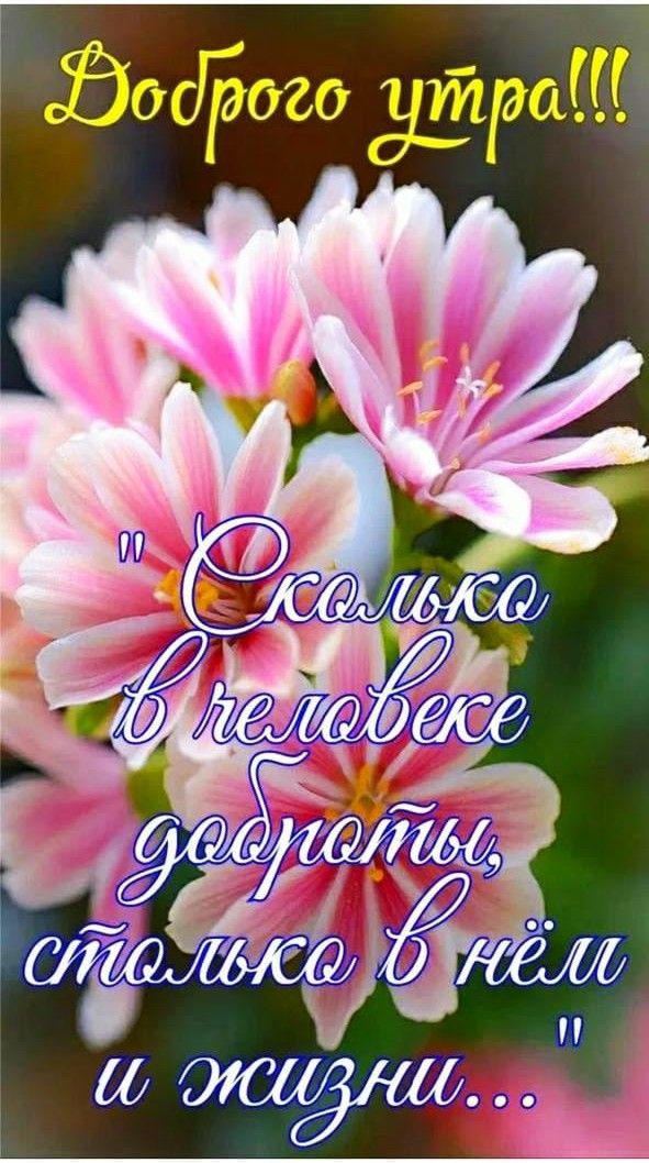 Доброе утро!!! 