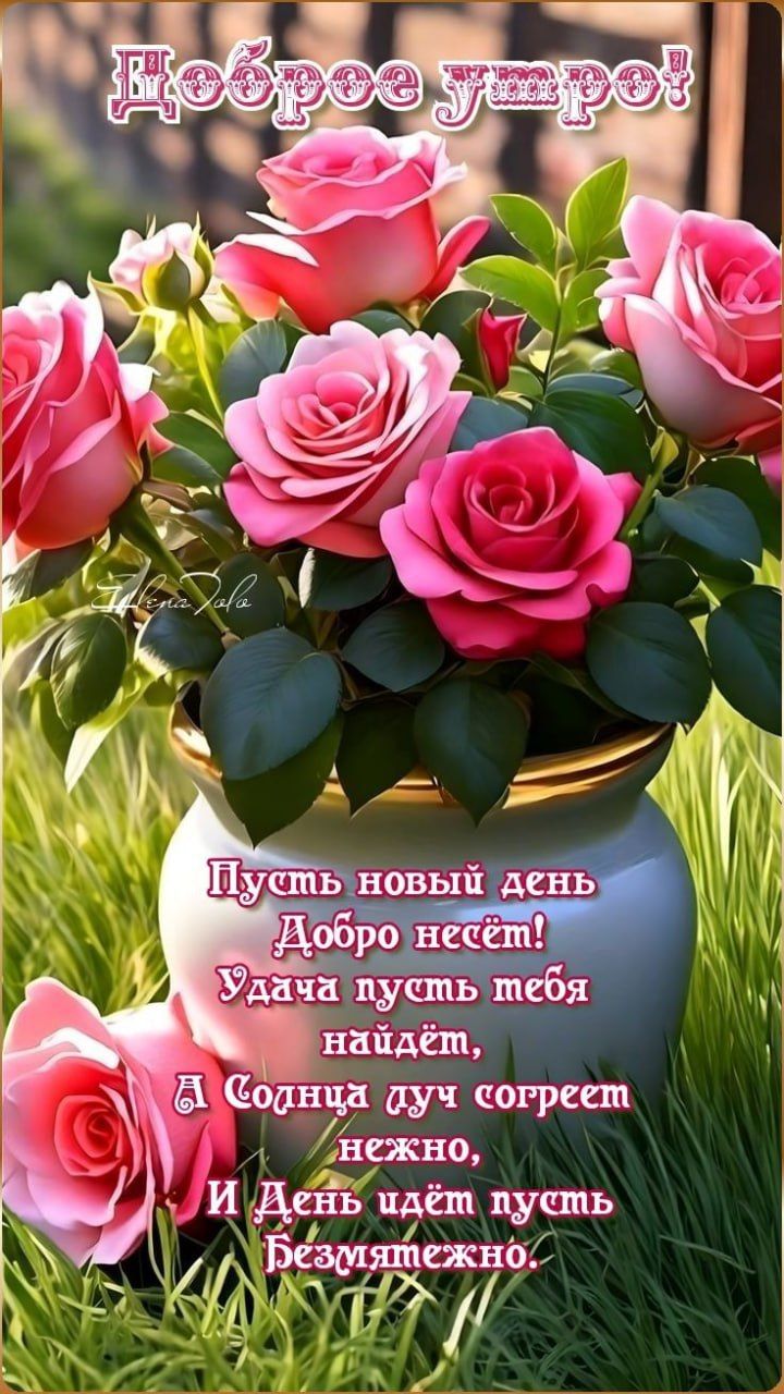 Доброе утро! Пусть новый день Добро несёт! Удача пусть тебя найдёт, А Солнца луч согреет нежно, И День идёт пусть Безмятежно.